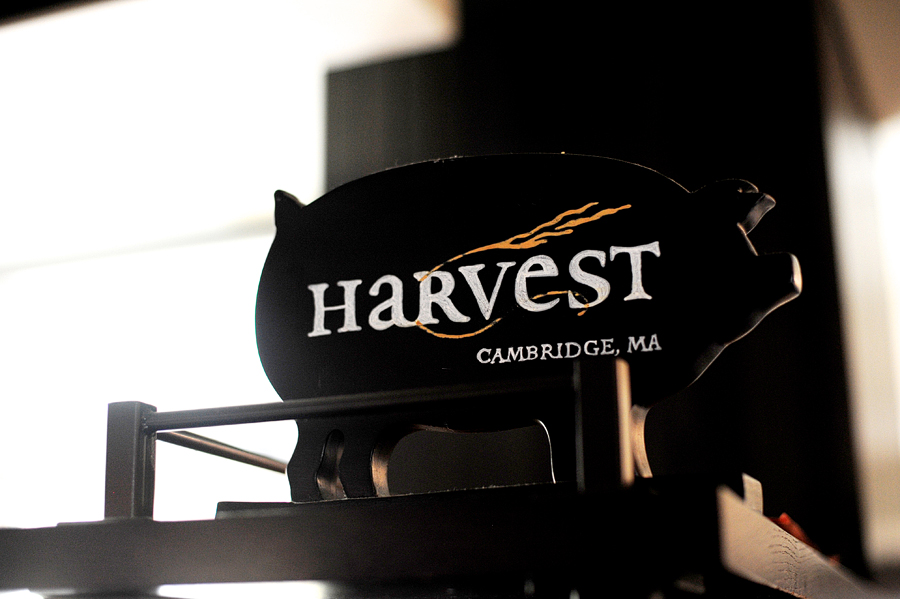 harvest restaurant in cambridge, ma